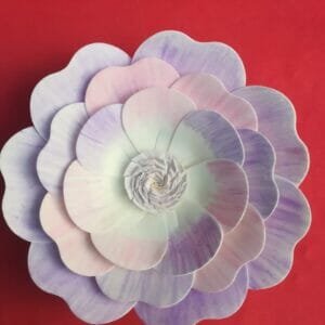 Foam Flower