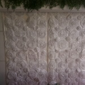 Backdrop Panel