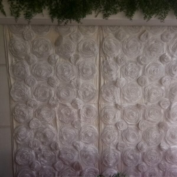 Backdrop Panel