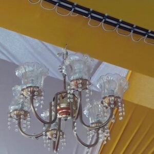 Iron chandeliers