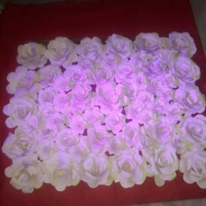 Backdrop Panel