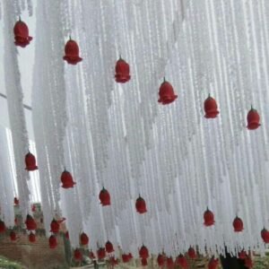 Garlands Hanging