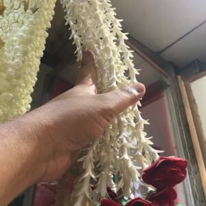 Garlands Hanging