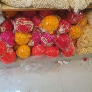 Latest products