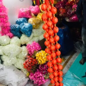 Latest products