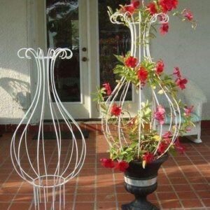 Latest products