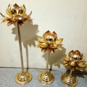 Latest products