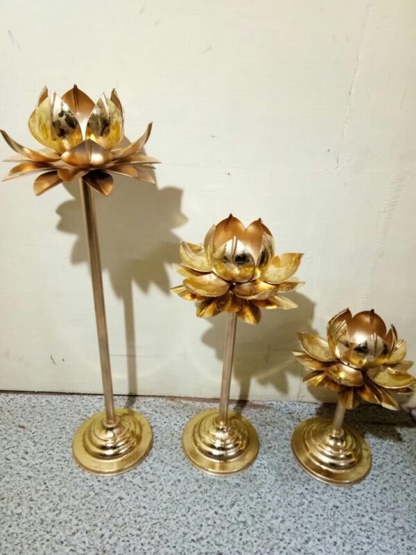 Latest products