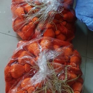 Latest products