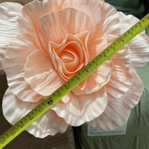 Latest products